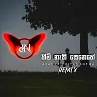 Himi Nathi Senehe (Remix)