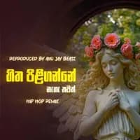 Hitha Piliganne Naha Thawath (HipHop ReMix)