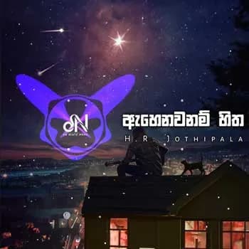 Ahenawanam Hitha Hadana Tharam (Remix)