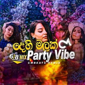 Dehi Malak (Party Vibes Remix)