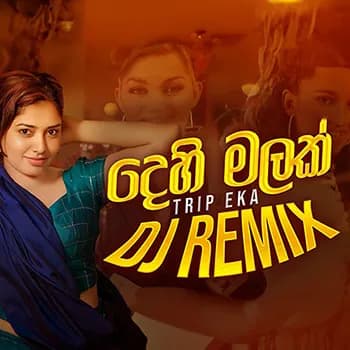 Dehi Malak (Trip Eka) Mashup DJ REMIX
