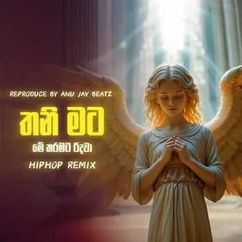 Thani Mata (Hip Hop Remix)