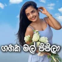 Gahaka Mal Pipila (Cover)