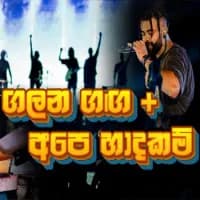 Galana Ganga x Ape Hadhakam