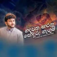 Hadawatha Parana (Cover)