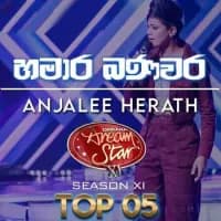 Hamara Banavara (Dream Star)
