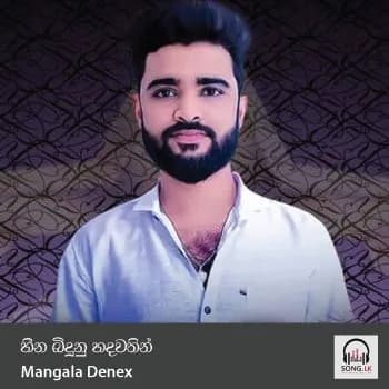 Heena Binduna Hadawathin