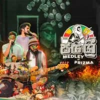 Jaya Sri Medley (Sheela x Piyamanne x Adara Lowe)