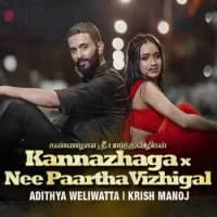 Kannazhaga X Nee Paartha Vizhigal