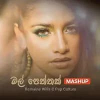 Mal Peththak (Mashup)