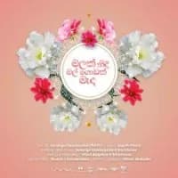 Malak Nidi Mal Godak Meda (Wayo)