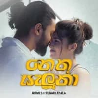 Nethu Saluna (Revisited)