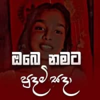 Obe Namata Pudami (Cover)