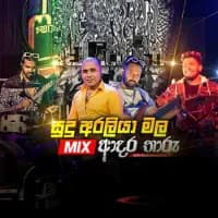 Sudu Araliya Mala (Live)