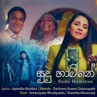 Sudu Hamine
