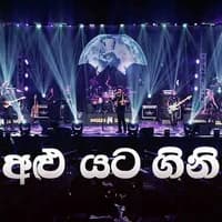 Alu Yata Gini (Live)