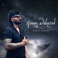 Anatha Maruthe (Cover)