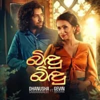 Bindu Bindu