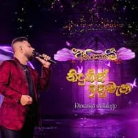 Nidukin Inumena (Ahinsakawi Live in Concert)