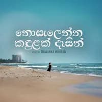 Nosalenna Kandulak (Cover)