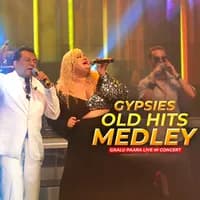 Old Hits Medley