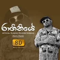 Raginiye Slowed Reverb (8D) Original Version