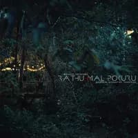 Rathu Mal Pokuru (Garden Acoustic Cover)