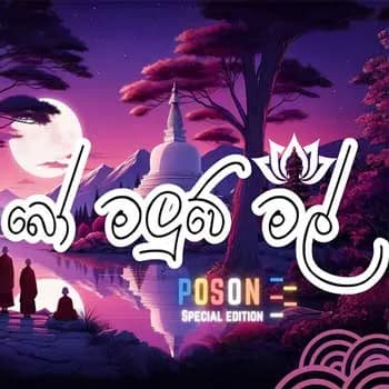 Bo Maluwe Mal (Lofi Cover)