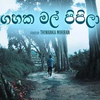 Gahaka Mal Pipila (Cover)