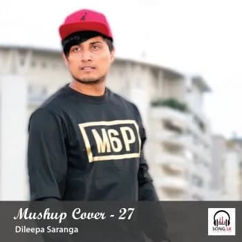 Mashup Cover 29