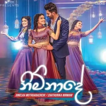 Nimnade (Raajini Teledrama)