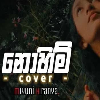 Nohimi (Cover)