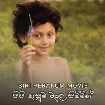 Pipi Kusuma Wadulu Sibimin