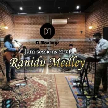 Ranidu Medley (Live Cover)