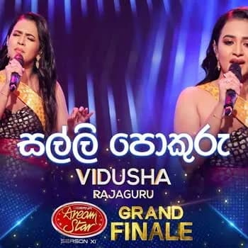 Salli Pokuru (Dream Star Grand Finale)