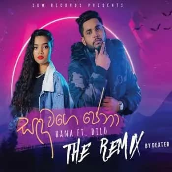 Sanda Wage Pena (Remix Song)