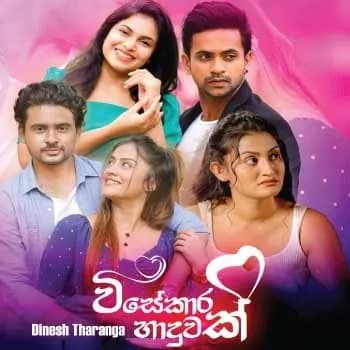 Visekara Haduwak (Teledrama Song)