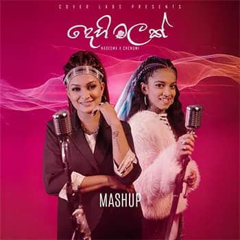Dehi Malak (Mashup Cover)