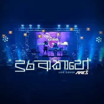 Dura Akahe (Ants Live)