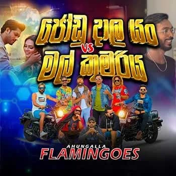 Jodu Dala Yan x Mal kumariya (Cover)