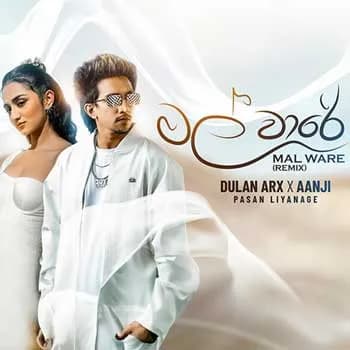 Mal Ware (Remix)