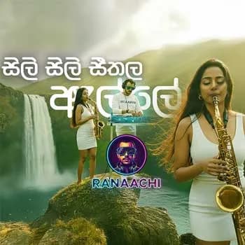 Sili Sili Seethala Alle (AI Cover)