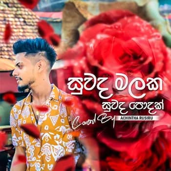 Suwada Malaka (Cover) TikTok Hitz